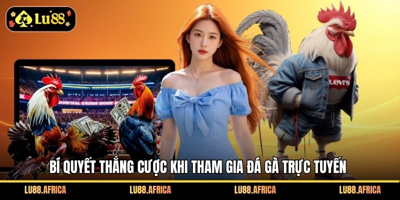 Bí quyết thắng cược khi tham gia đá gà trực tuyến