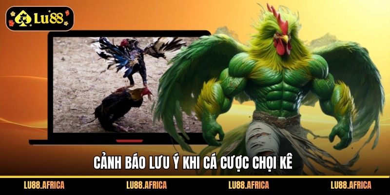 Cảnh báo lưu ý khi cá cược chọi kê