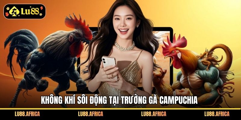 Không khí sôi động tại trường gà Campuchia