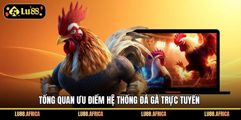Tổng quan ưu điểm hệ thống đá gà trực tuyến